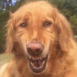 Meet your Posher, Bryant